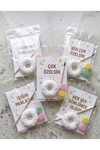 Aurocode Donat Boyanabilir Taş Tozu Magnet Seti | Fırça ve Boya Dahil | Hediy...