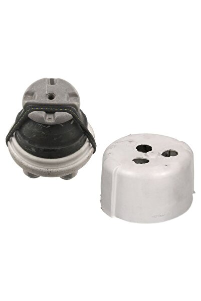 FEBI BILSTEIN Suport Motor Fata Dreapta/Stanga Hidraulic Mercedes S (c216) S ...