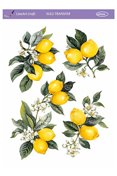 LİNEART Sulu Transfer No:LNT644-25x35cm