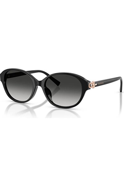 Tiffany&Co Tiffany Tf4263-D 8001/3C 54 Women's Sunglasses