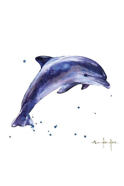 Museums & Galleries Felicitare/card patrat Delfin acuarela, cu plic, fara tex...