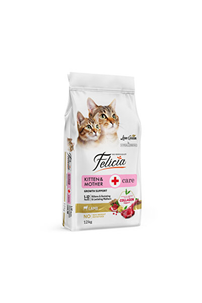 Felicia Kitten & Mother Care Hrană Uscată Hipoalergenică pentru Pisoi și Pisi...