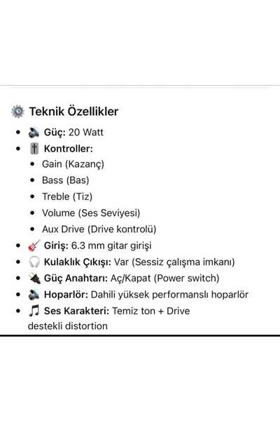 PUANDORG Prefesyonel 20 Watt Elektro Gitar Amfisi AGL20