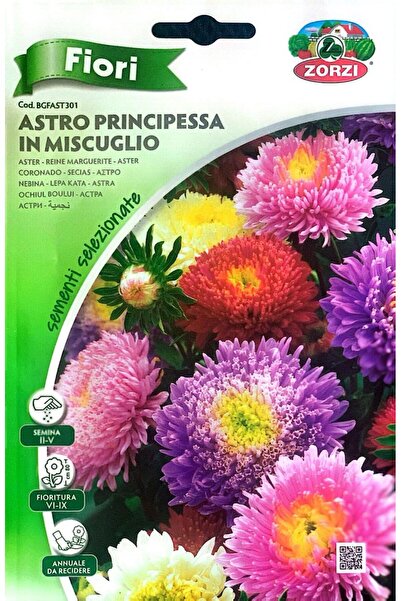 Generic Aster Princess 'Star' Flower Seeds 3pact
