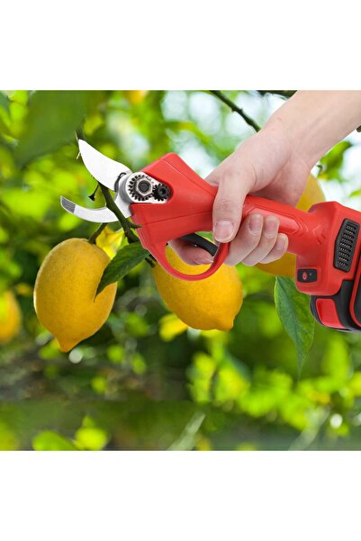 innature Foarfecă electrică cu acumulator 30mm 21V + 2 acumulatori