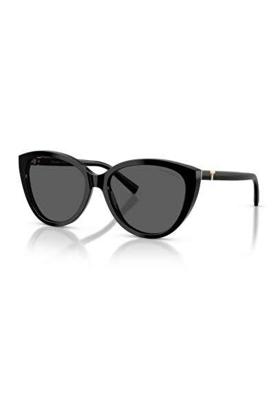 Tiffany&Co Tiffany & Co. 0Tf4251 8001S456 Women's Sunglasses