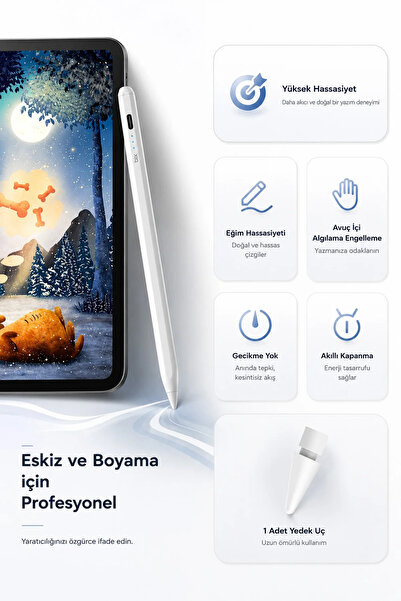 EXENAR iPad Tablet Kalemi Manyetik Stylus Pen Eğim Sensörlü Avuç İçi Engelleme USB-C Şarjlı 1 Yedek Uç