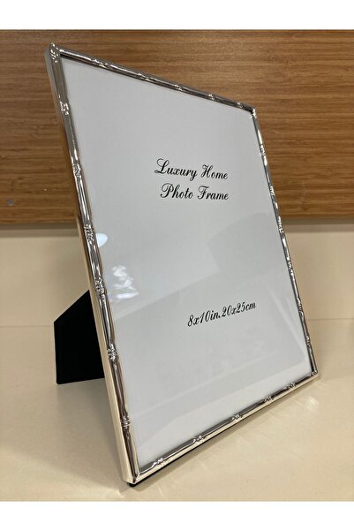 PLUS HOME Picture Frame Bamboo Model Metal Brass Fine Edge Color Silver Large...