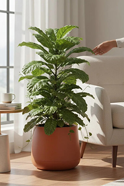 poliva home Atlas Saksı UV Dayanımlı – İç Ve Dış Mekan Dekoratif Plastik Saks...