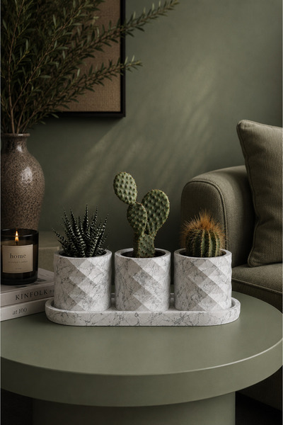 betonmall 3'lü Beton Prizma Sukulent Saksısı Oval Tepsili - Mini Dekoratif Ka...