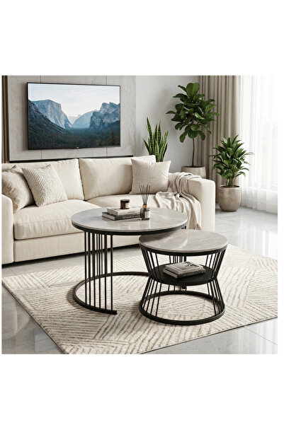 luxino Ceramic Nesting Coffee Table Set with Metal Frame Modern Design gray b...