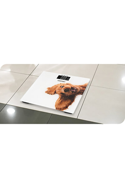 Zelmer Cântar electronic de baie ZBS1010 cu afișaj LCD, max. 180 kg