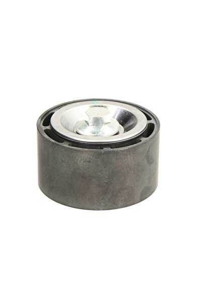 DAYCO Rola Ghidare/Conducere, Curea Transmisie Accesorii Scania Citywide F G ...