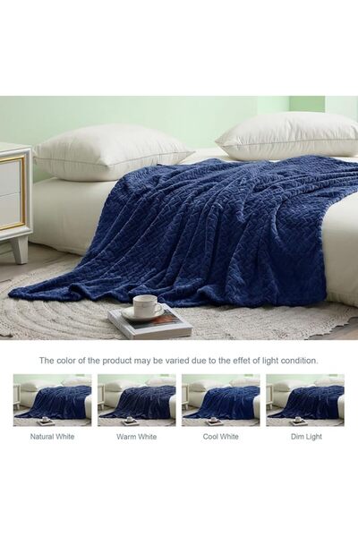 Exclusivo Mezcla Celadon Fleece Throw Blanket for Couch and Bed, 50x70 Inches...