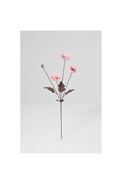 Generic New In Fernza Pink Poppy Single Stem Pink H55Cm