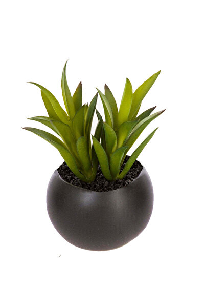 Atmosphera Plantă suculentă artificială, ghiveci ceramic, H8 cm - DFL_Lot 3