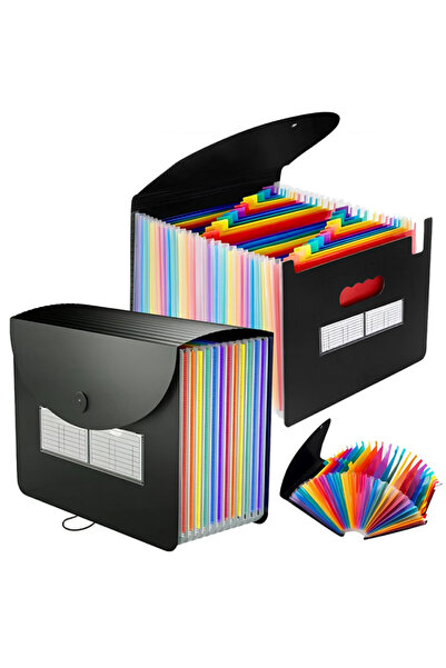 varioshop Organizator de documente A4 VarioShop ® tip acordeon, 24 compartime...