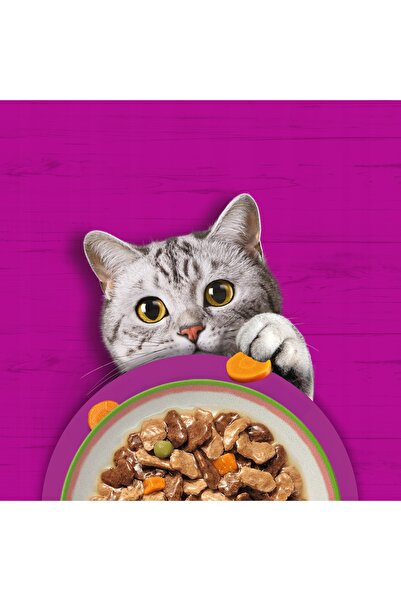 Whiskas TASTY MIX hrană umedă pentru pisici Alegerea Chefului în sos 40 x 85 g