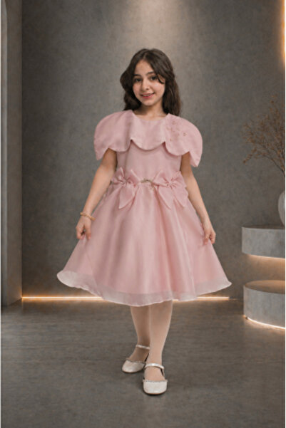 arushi Newly arrived Dalal Organza Soft Pink Dress .. Girls' Dress