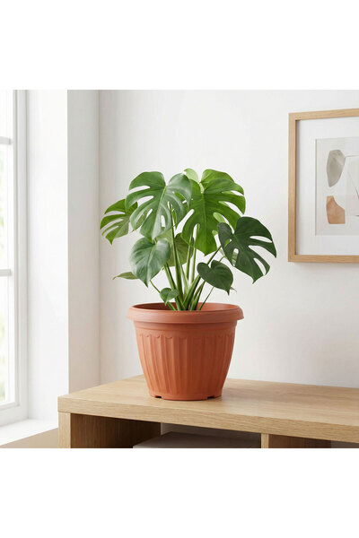 Alista Home Ghiveci de flori din plastic, culoare teracotă, Ø25 cm, pentru pl...