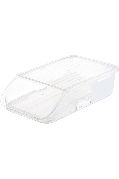 GENERAL Compact Plastic Egg Storage Box, High Grade, Space-saving Refrigerato...