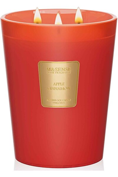 M&SENSE Eucalyptus Sage Scented Candle, 14.1oz 60H Burn Time Slow Burning, Na...