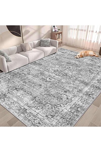 EOGILY Ultra-Thin Washble Rug, Stain Resistant Anti Slip Backing Rugs for Liv...