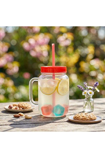 Alista Home Straw cup 550ml red with 4 cooling cubes airtight reusable lid
