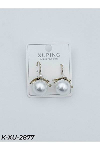 Bozhi Earrings Earrings Elegant Casual Style Gift