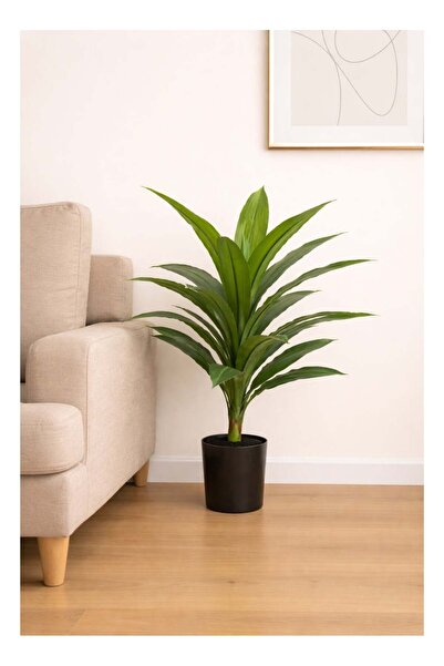 DRAMA HOME Indoor Artificial Tree, 70 cm Height – Dracaena Green Model for Co...