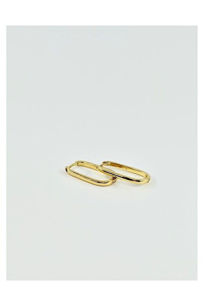 AYRA ACCESSORY Elips Formlu Sade Gold Renk Çelik Küpe
