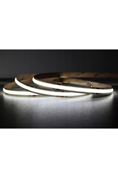 MW Lighting Bandă LED LED-COB-12V/8W-CW/5M - 6500 K