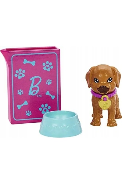 Barbie HKD87 Set de joacă pentru adopție - Păpușă, S