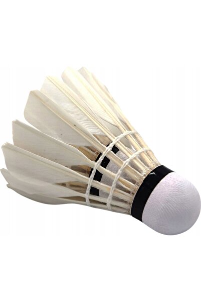 SUNFLEX Fluturaș de badminton Pro 6 bucăți 53557
