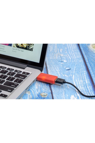 NO BRAND IFI AUDIO iDEFENDER+ REDUCTOR DE ZGOMOT CU USB 3.0 USB-C LA USB-A SU...