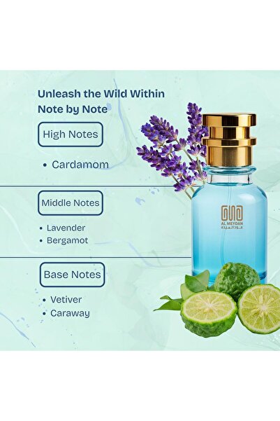 OUD AL MEYDAN ’s Creation – Inspired by La Nuit De L’Hom – Oil-Based Perfume for Men – Warm Spicy Cardamom & Lavender – Ideal for Nightlife & Romantic Occasions – Long Lasting 6–8 Hours (30 ML)