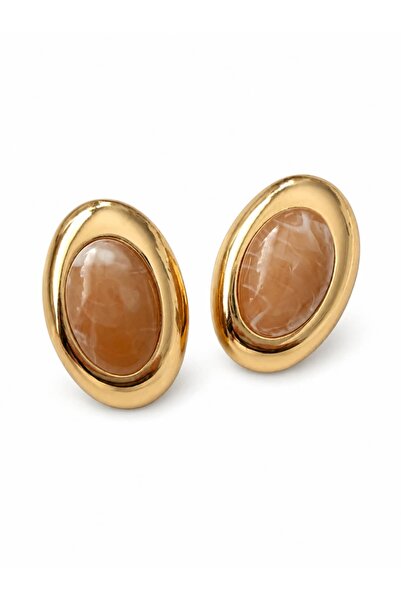 CHARMLUCKY Steel Holda Earrings