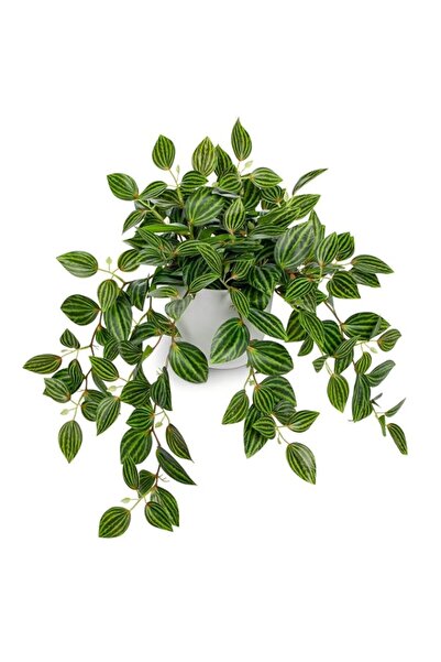 Generic Brand Artificial Fake Plants, Artificial Plants Indoor Fake Potted Si...