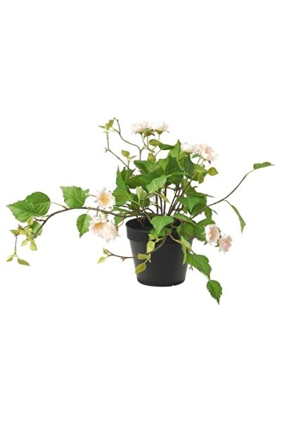 Generic Brand Digital Shoppy FEJKA Artificial Potted Plant, in/Outdoor/Rose L...