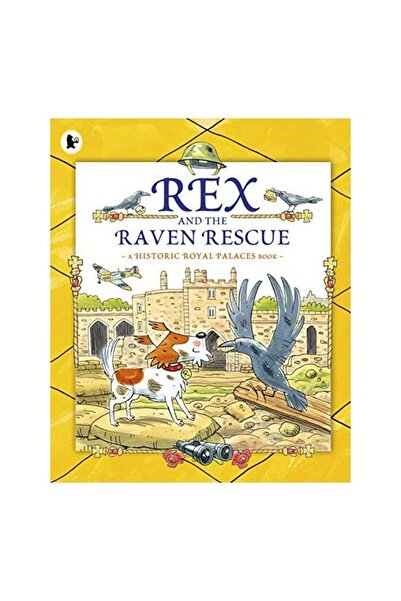 Generic (Unbranded) Rex and the Raven Rescue