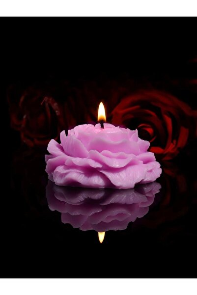 NOVATEH Romantic candles for couples