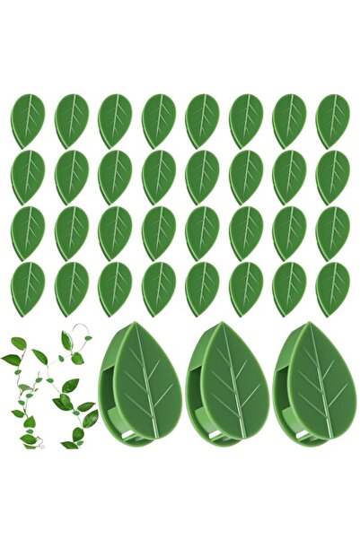 Generic 60 PCS Self-Adhesive Plant Wall Clips, Plant Climbing Fixture Clips f...