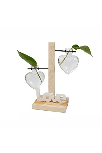 Generic Excefore Desktop Plant Propagation Station, Glass Planter Terrarium w...