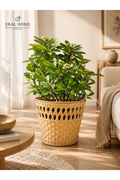 SS ERAL KOOP Hand Knitted Large Wicker Flower Pot Basket Decorative Natural F...