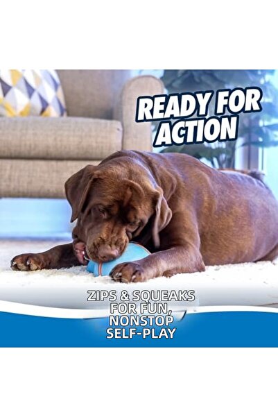 Yıldızan Tamgün Chuckit! Indoor Super Slider Eve Special Interactive Toy Tamg...