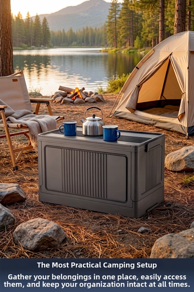 Lavine "Medium" Portable Organizer Box 30 Lt with Lid, Foldable, Stackable Multi-Purpose Storage Bin
