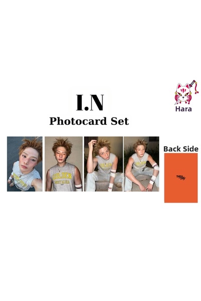 Hara Company Stray Kids Kpop Group This & That Album I.N Photocard Set (4-Pie...