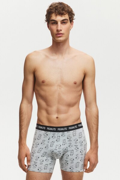 H&M 3'lü Pamuklu ve Baskı Motifli Boxer Şort