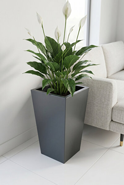 Desen Dekorasyon Zenith 50 cm Dikey Metal Antrasit Saksı - İç ve Dış Mekan Mo...
