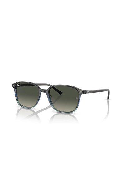 Ray-Ban Rb 2193 138171 53 Leonard Sunglasses